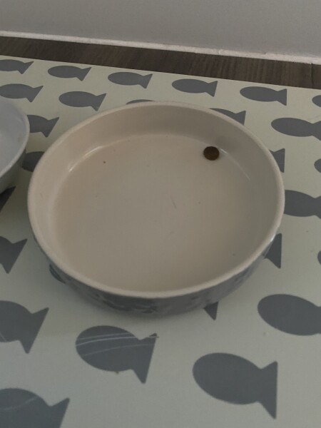 Anyone else’s cat turn their nose up at these delicacies?
