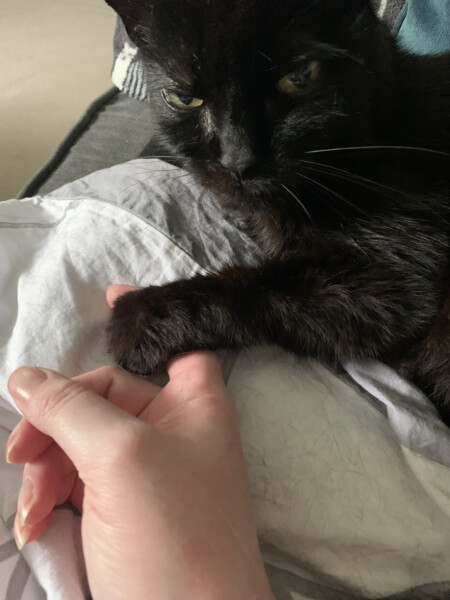 To a life well spent – RIP Cap'n V
