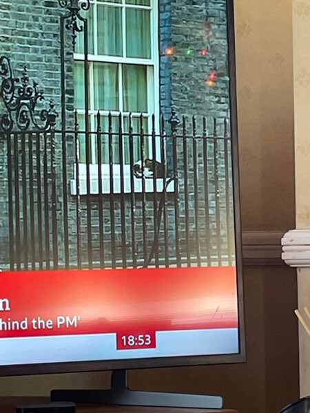 Boris Johnson and the cabinet of curiosities Thread 8