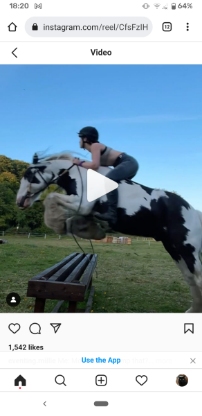 In thinking this is reckless and stupid? (horse related!) 