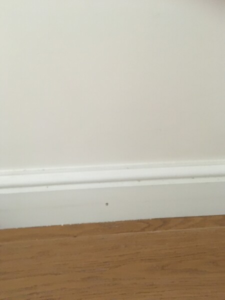 How to clean these wooden edges?