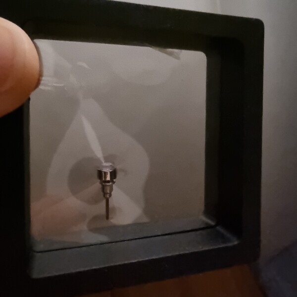 Do things go mysteriously missing in your house? 