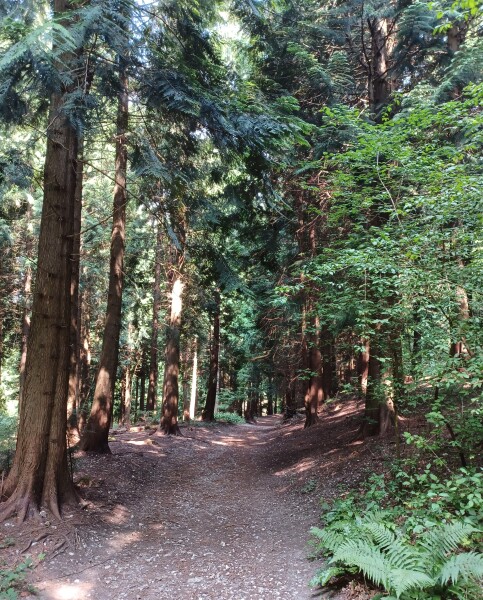 Come chat hiking with me!