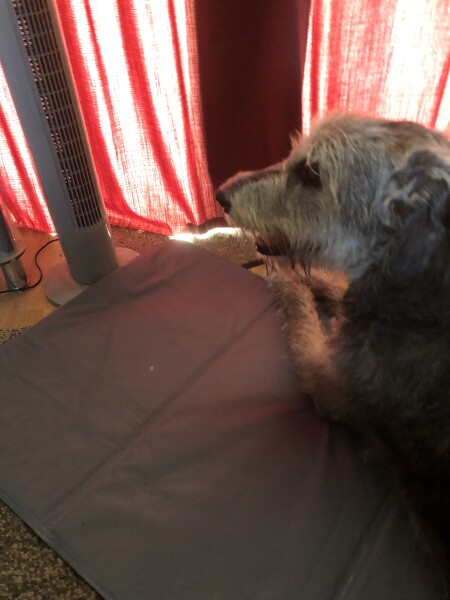 Heatwave! We’ve got this 