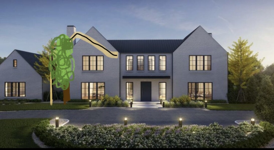 Which tree to plant close to the house?