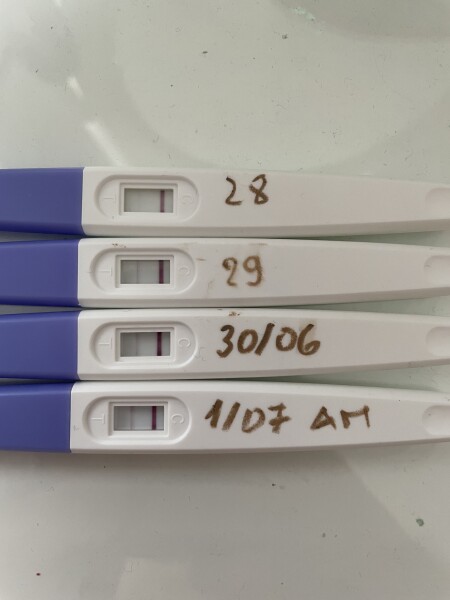 Due Late Feb / Early March 2023 💖💙💐🌈