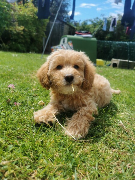 Day 1 - Maggie is here