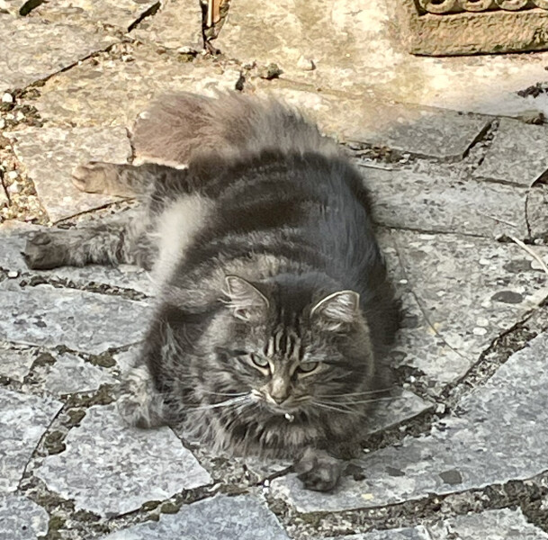 To a life well spent – RIP Cap'n V