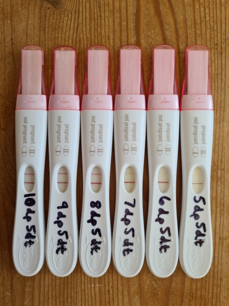 How many days past FET did you get you BFP? 