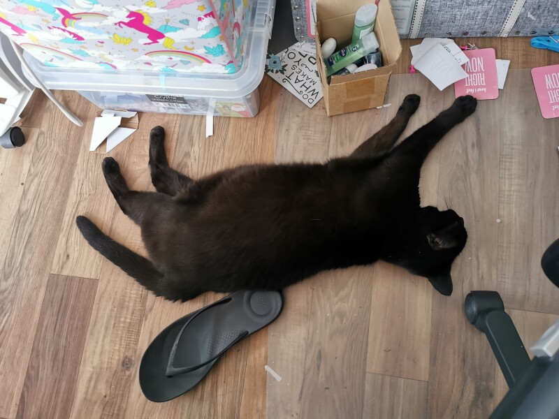 Any Witches Here? Part 16