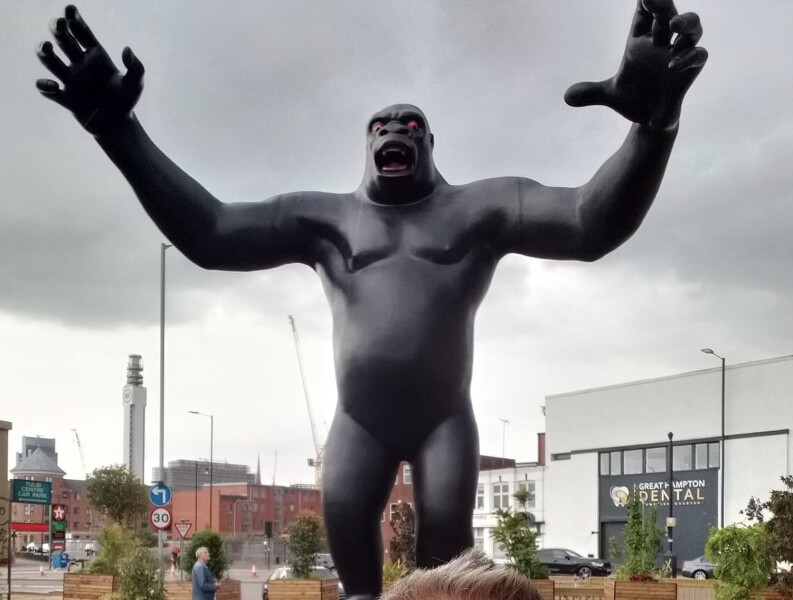 A large bear has appeared in my brother in laws drive... 