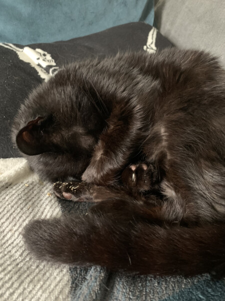 To a life well spent – RIP Cap'n V