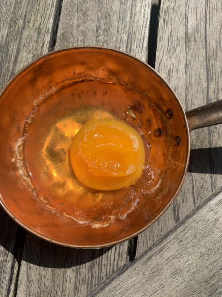 The great Eggsperiment taking place on 19th July/ Aka EGG WARS 