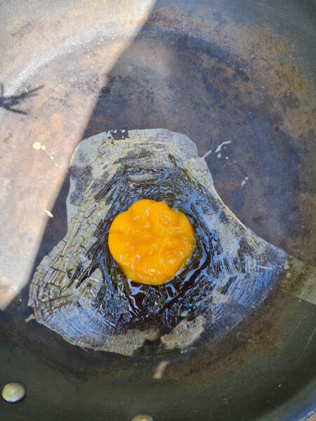 The great Eggsperiment taking place on 19th July/ Aka EGG WARS 