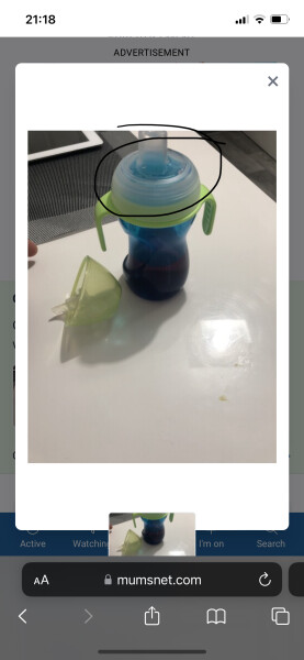 Does anyone know what this is