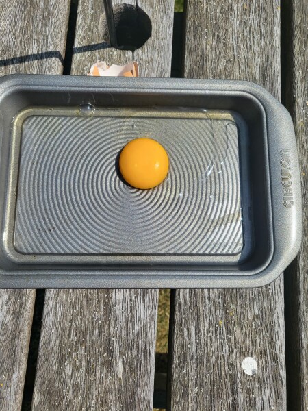 The great Eggsperiment taking place on 19th July/ Aka EGG WARS 