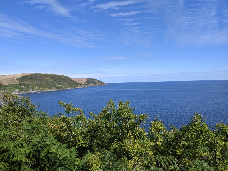 Thread 35 -  Covid Cohort from GCSE 2020  'What They Did on Their Summer Holidays'