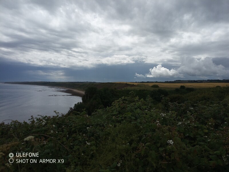 Come chat hiking with me!