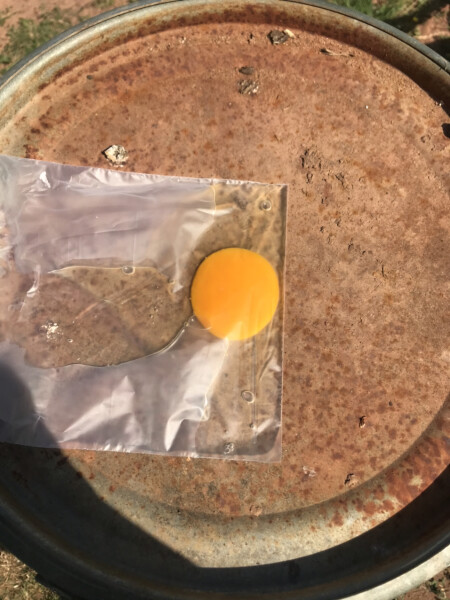The great Eggsperiment taking place on 19th July/ Aka EGG WARS 