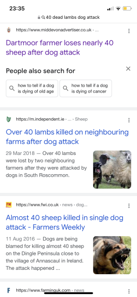 Was I being overly sensitive? *TW animal death