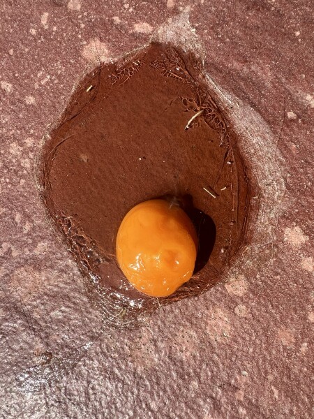 To see if I can cook an egg on my patio in this heat.