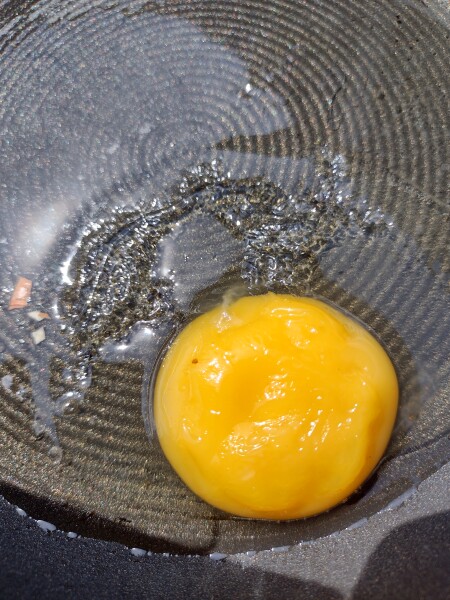 The great Eggsperiment taking place on 19th July/ Aka EGG WARS 