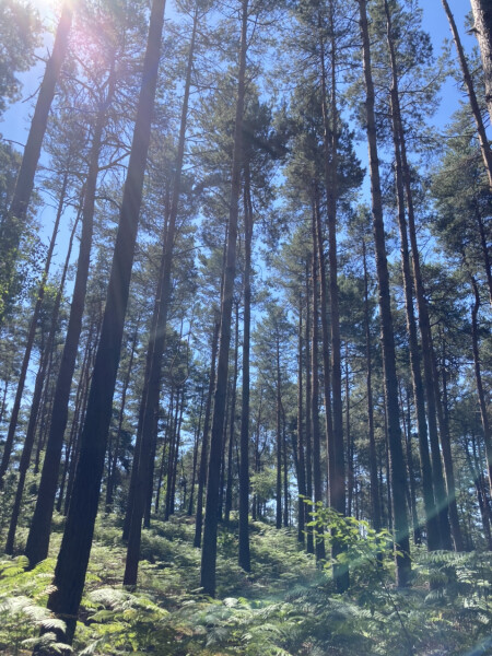 Come chat hiking with me!