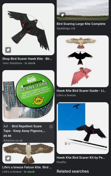 To want to kill the birds