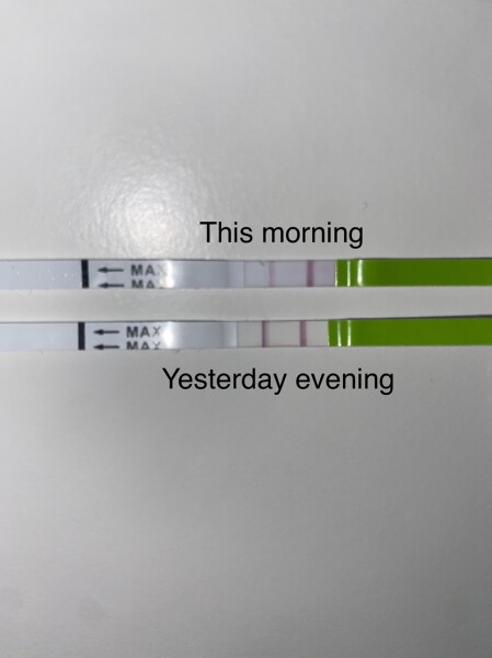 Ovulation tests