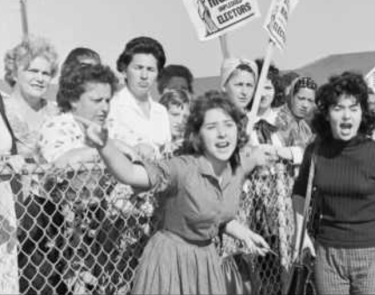 to wonder if BAME people care more than others about women’s rights?