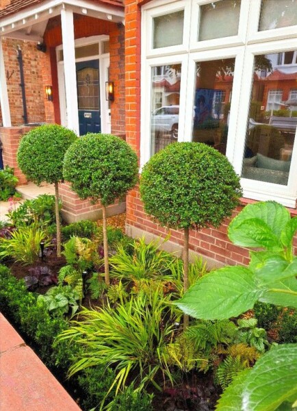 North facing front garden ideas (new build)