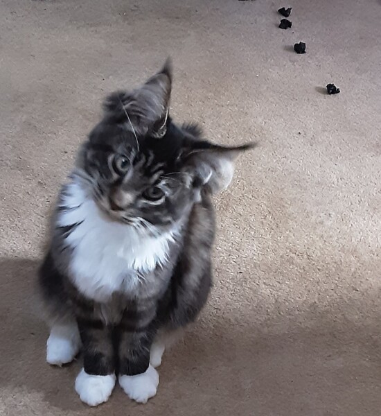 Come and tell me your dull and unexciting news 23: Calmly through the day 