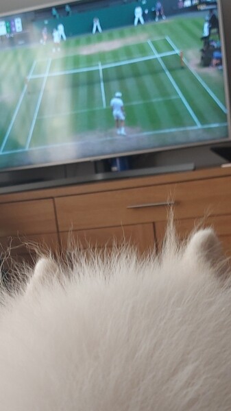 Wimbledon Week Two 2022