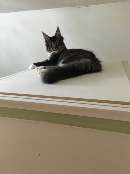 Come and tell me your dull and unexciting news 23: Calmly through the day 