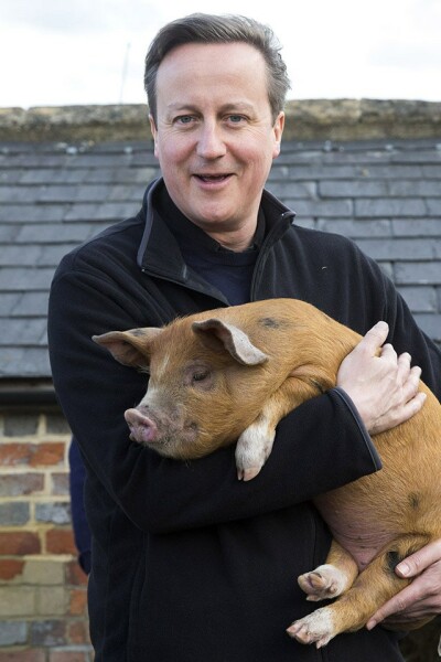 To think Keir Starmer is attractive