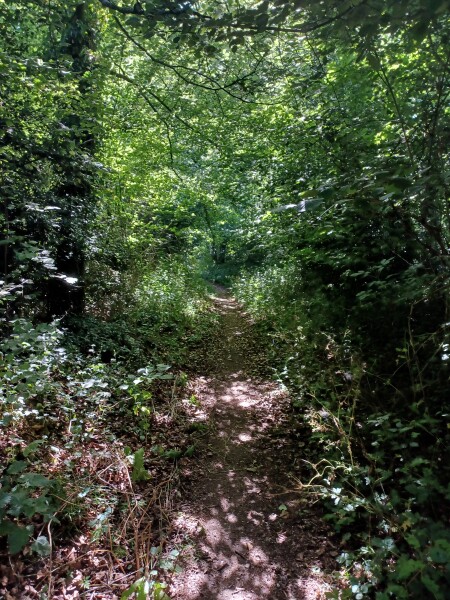 Come chat hiking with me!