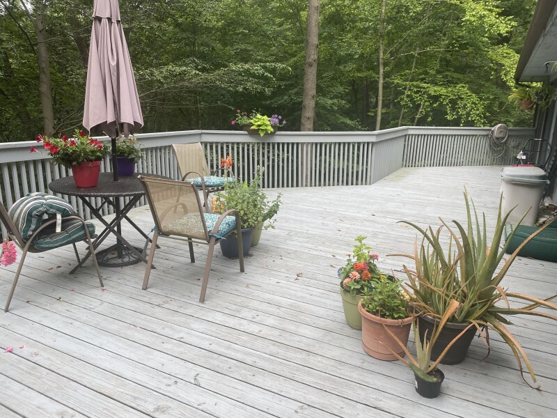 Come and tell me your dull and unexciting news 23: Calmly through the day 