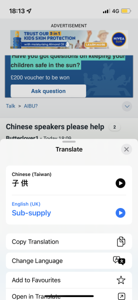Chinese speakers please help