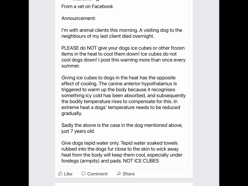 Met office RED WARNING for extreme heat.