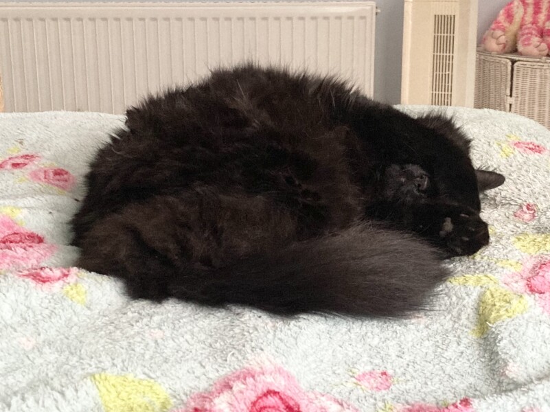 To a life well spent – RIP Cap'n V