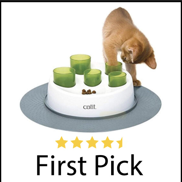 Microchip Feeding Bowls