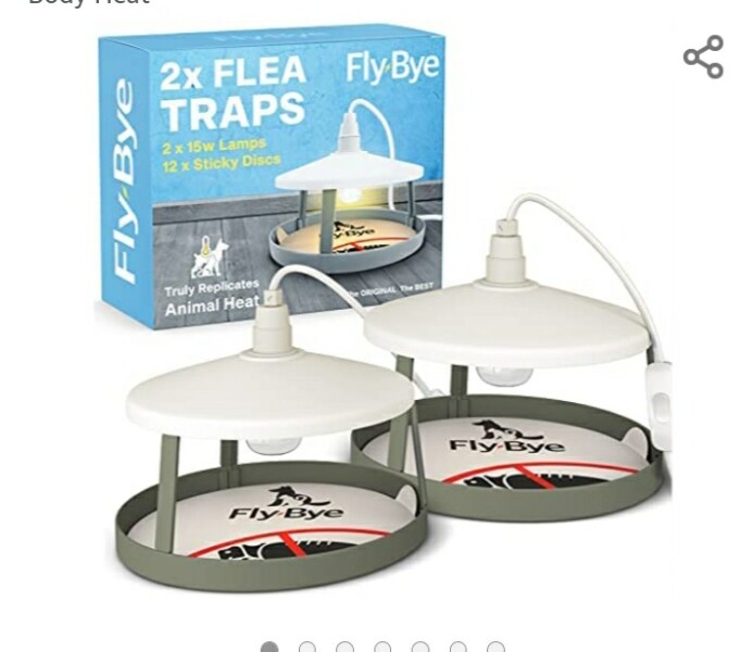 Fleas 😱