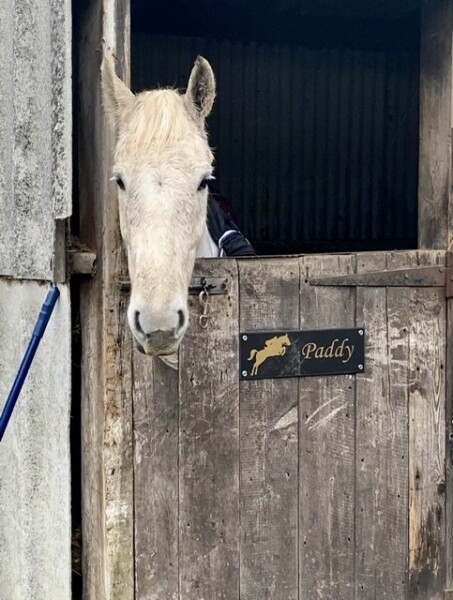 Adult new or returning riders up for a chat?