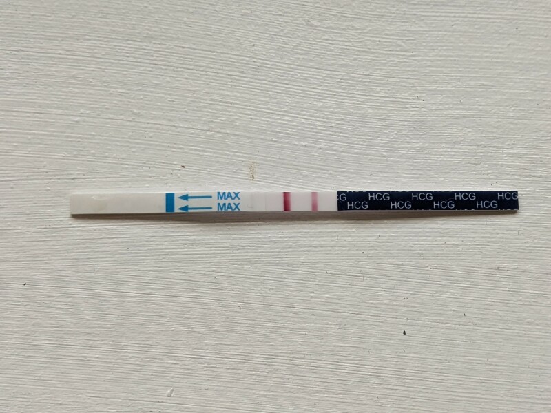 Due Late Feb / Early March 2023 💖💙💐🌈