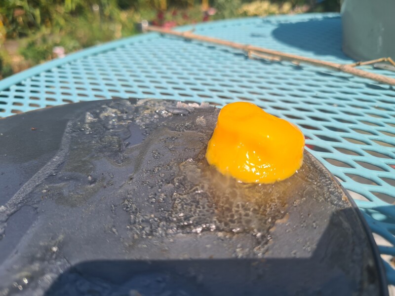 The great Eggsperiment taking place on 19th July/ Aka EGG WARS 