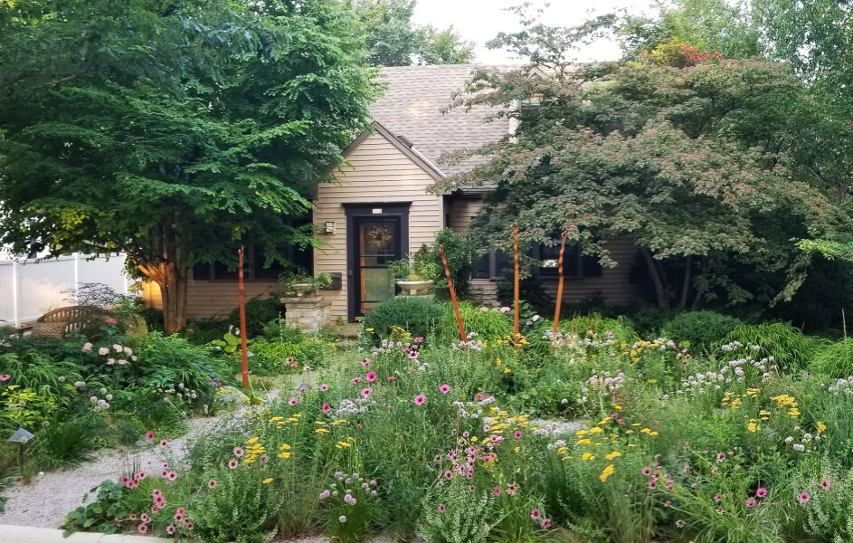 Help me choose a planting scheme!