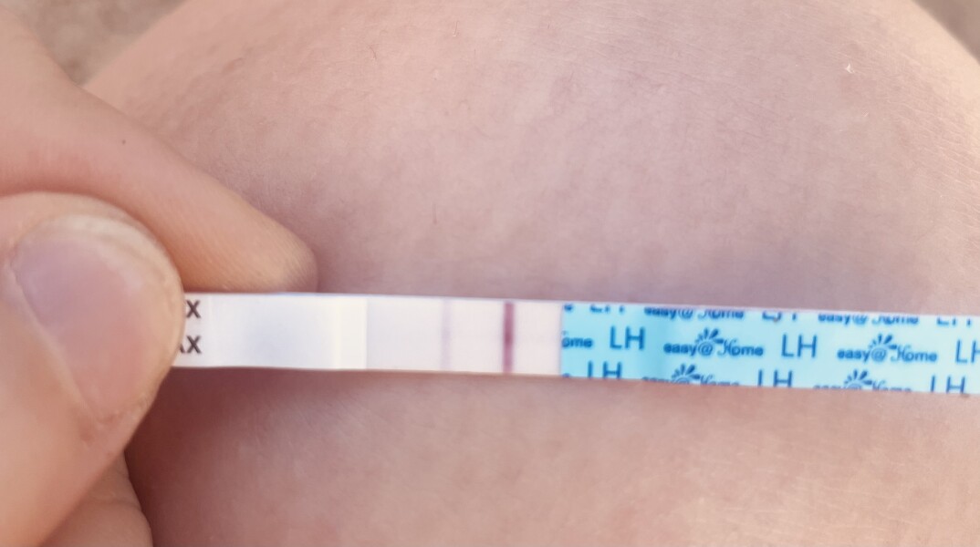 Ovulation 