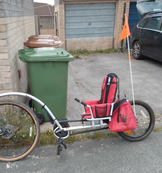 Does anyone use a bike and trailer for carting kids around daily?!