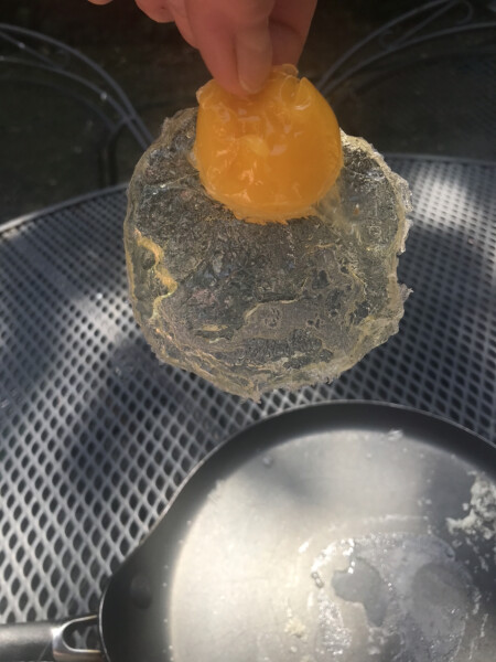 The great Eggsperiment taking place on 19th July/ Aka EGG WARS 