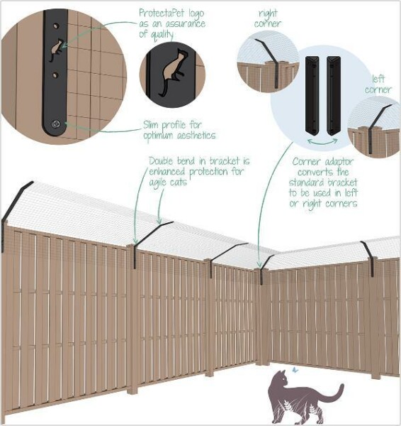 Neighbour getting cross about my cats